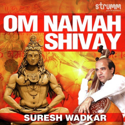 Unknown Om Namah Shivay