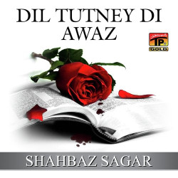 Punjabi Unknown