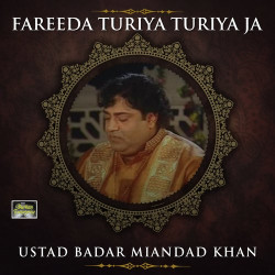 Punjabi Unknown