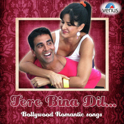 Unknown Tera Bina Dil - Bollywood Romantic Songs