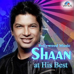 Unknown Bollywood Music - Shaan At His Best
