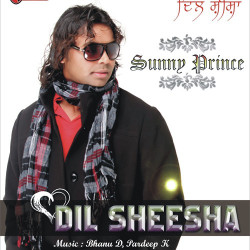Unknown Dil Sheesha