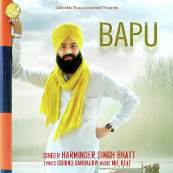 Unknown Bapu