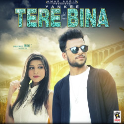 Unknown Tere Bina