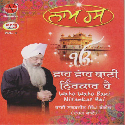 Punjabi Unknown