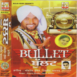 Unknown Bullet