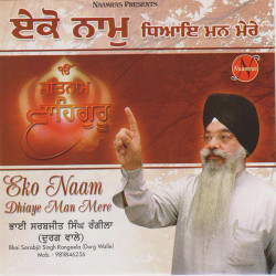 Punjabi Unknown