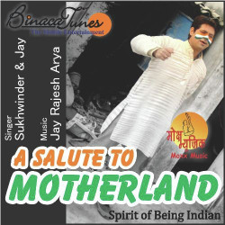 Unknown A Salute To Motherland
