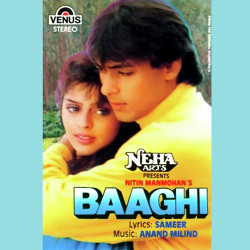 Unknown Baaghi (Old)