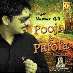 Unknown Pooja And Patola