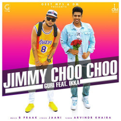 Punjabi Unknown