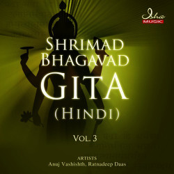 Unknown Shrimad Bhagavad Gita (Hindi) - Vol 3