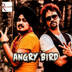 Unknown Angry Bird