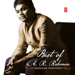 Unknown Best Of AR Rahman