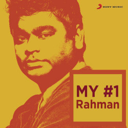 Unknown My 1 Rahman