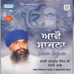Unknown Aavo Sajna