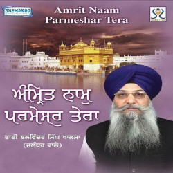 Punjabi Unknown