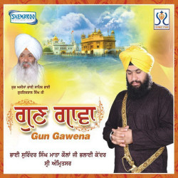 Unknown Gun Gawena
