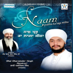 Unknown Naam Prabhu Ka Laga Mitha