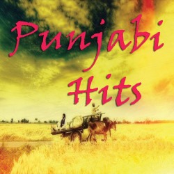 Punjabi Unknown