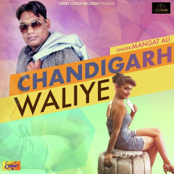 Unknown Chandigarh Waliye