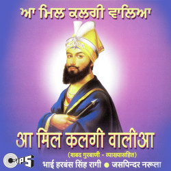 Unknown Aa Mil Kalgi Walia