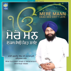 Punjabi Unknown
