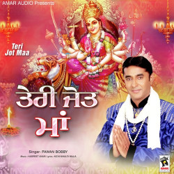 Unknown Teri Jot Maa