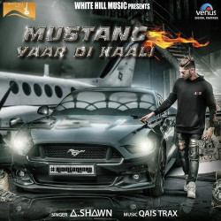 Punjabi Unknown