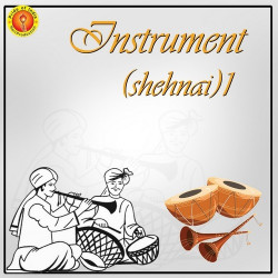 Unknown Instrument (Shehnai)1