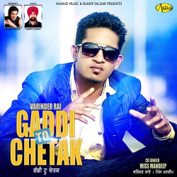 Unknown Gaddi To Chetak