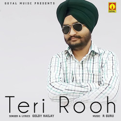 Unknown Teri Rooh
