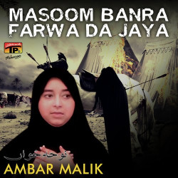 Punjabi Unknown