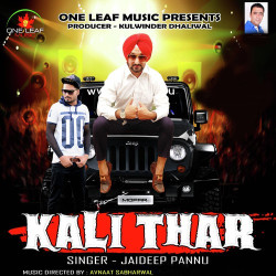 Punjabi Unknown