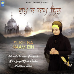 Unknown Sukh Na Naam Bin