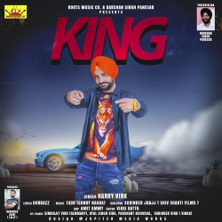 Punjabi Unknown
