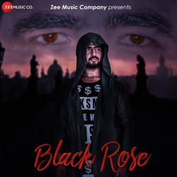 Unknown Black Rose