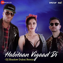 Unknown Habitaan Vigaad Di (DJ Shadow Dubai Remix)