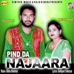 Unknown Pind Da Najaara