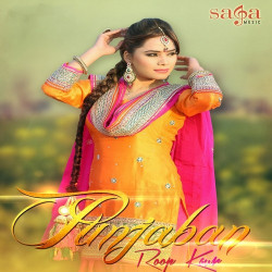 Unknown Punjaban