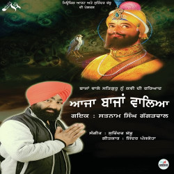 Punjabi Unknown