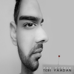 Unknown Teri Yaadan