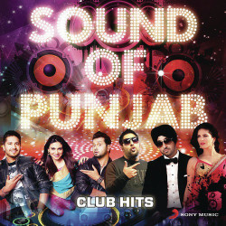 Unknown Sounds Of Punjab - Club Hits