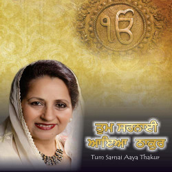 Punjabi Unknown