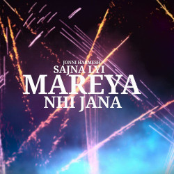 Unknown Sajna Lyi Mareya Nhi Jana
