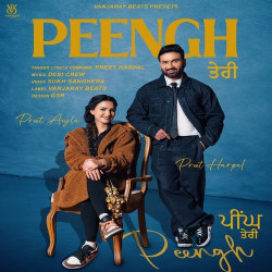 Punjabi-Singles Unknown