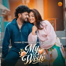 Punjabi-Singles Unknown