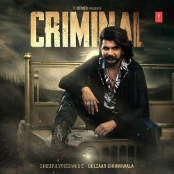 Unknown Criminal