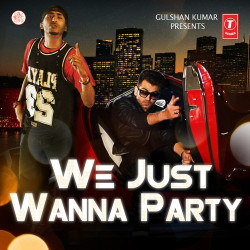 Unknown We Just Wanna Party
