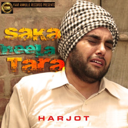 Unknown Saka Neela Tara